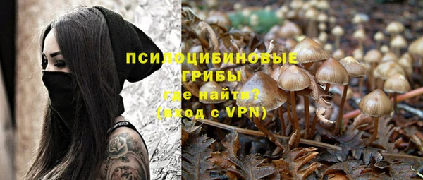 МДПВ Вязники