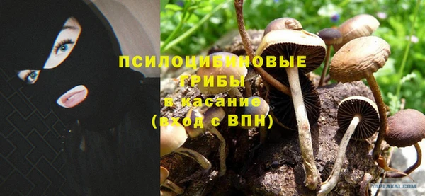 МДПВ Вязники