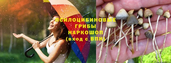 МДПВ Вязники