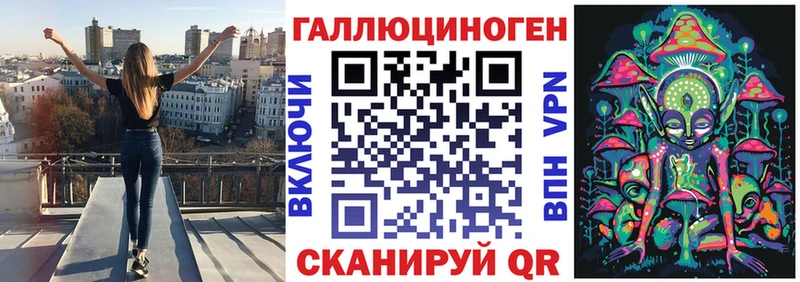 Псилоцибиновые грибы Psilocybe Ковров